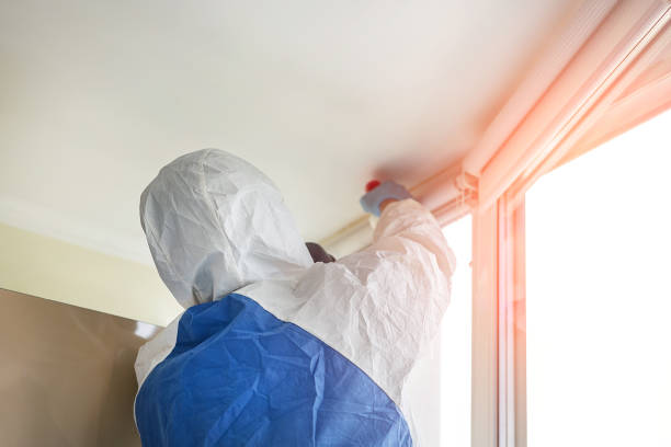 Trusted Northport, AL Mold Inspection Experts