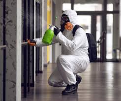 Biohazard Mold Removal in Northport, AL