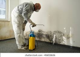 Best Mold Removal for HVAC Installations  in Northport, AL